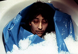 click for larger image - do not copy without notifying; thank you